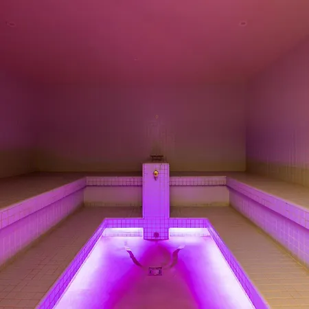 فندق فيرتسهاوس بوست 4*