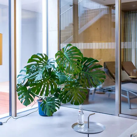 فيرتسهاوس بوست 4* سانكت يوهان ان تيرو